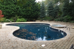 Pool, Spa, and Paver Patio